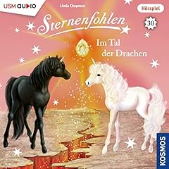 Im Tal der Drachen cover art