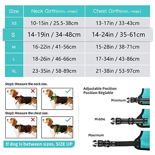 HEELE Dog Harness Dog Harness Small Dog No Pull Harness wiht Soft Handle Reflective Puppy Harness Adjustable, Turquoise, S - Image 3