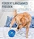 Planet Dog Orbee-Tuff Lil’ Snoop - Interaktives Spielzeug für Hunde - Snackball - Royalblau - Klein