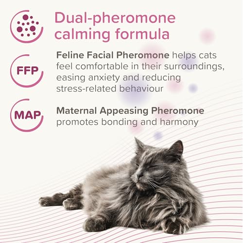 Beaphar - CatComfort® Excellence 30 Day Refill – Pheromone Calming for Cats - Reduces Stress, Anxiety & Unwanted Behaviour – Long-Lasting Stress-Relief- Lasts Up To 30 Days - Covers 70m² Area - 48ml - Image 6