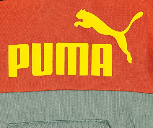 Image of Puma Boys Sweatshirt