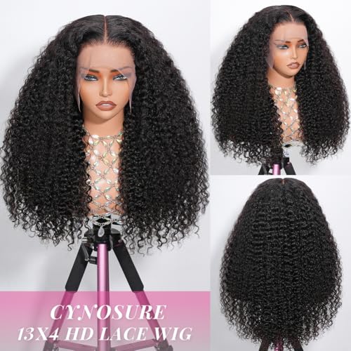 Image of CYNOSURE 13x4 Deep Wave Lace Front Wigs Human Hair Pre Plucked 180% Density Brazilian Deep Curly HD Transparent Lace Frontal Wig with Baby Hair Natural Black Color 18 inch