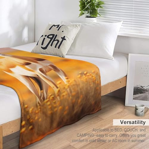 Couverture antilope douce pour créer un véritable cocon de douceur à la maison - 7