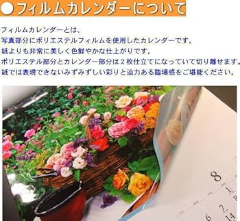 朝日　特大サイズ MTF マウントFuji｜製品一覧｜サイネージスタンド AVAWOOD｜製品