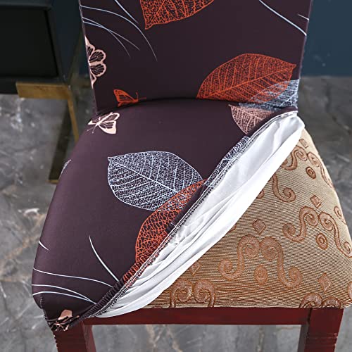 Image of House of Quirk Elastic Chair Cover Stretch Removable Washable Short Dining Chair Cover Protector Seat Slipcover ((Pack of 2, Choco Leaf))