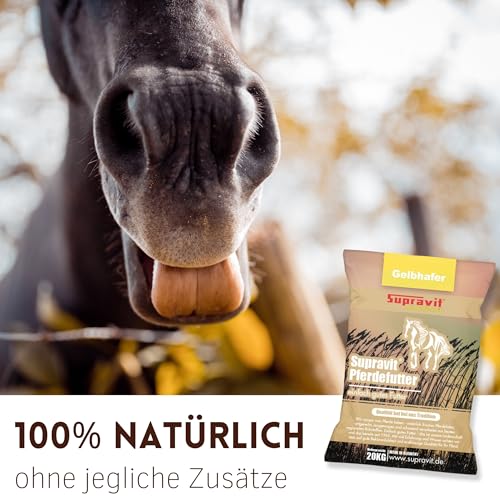 Supravit Hafer ganz 20kg | Frischer gelber Futterhafer natürlich & ungeschält für Pferd und Pony | staubfrei & riecht gut I Hafer Energie & Kraftfutter Pferd