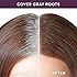 Madison Reed Root Touch Up Bundle - Root Perfection in Dervio Medium Golden Brown - 6G and The Great Cover Up in Terra Medium Brown