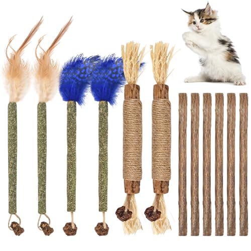 Bissap 12 PCS Silvervine Chew Sticks for Cats, Catnip Chew