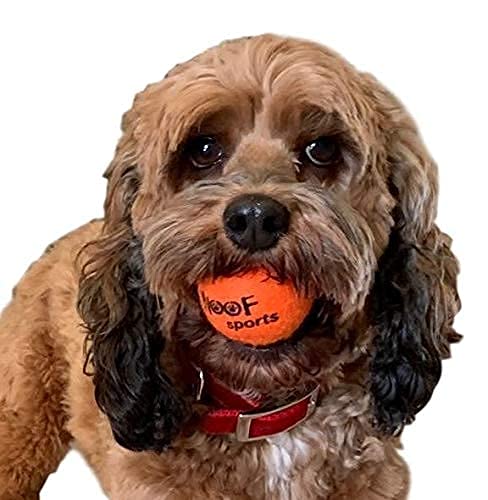 Woof Sports Small Tennis Balls for Dogs (1.9") - 12 Orange Durable and Easy to Find Mini Tennis Balls for Small Dogs and Puppies. Includes Carrying Bag. - Image 3