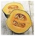 Heirloom Acorn Table Queen Winter Squash Seeds - Approximately 30 Seeds