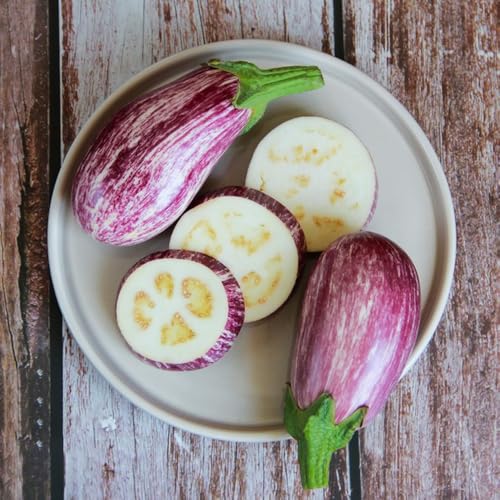 semi di melanzana varietà antiche, rari, interno d'appartamento, copertura del terreno, 1200pcs