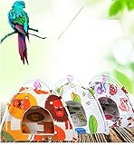 Vinnykud Papageienzelt mit Kissen Vogel Papagei Hängematte Abnehmbar und Waschbar Hängen Höhle Käfig Vogelnest Hütte Zelt Bett