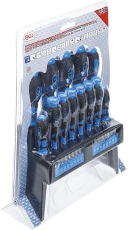Screwdriver Set with Bit Assortment | In Plastic Holder | 29 Pieces