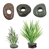 6 Pcs Natural River Stone Plant Weights for Fish Tank, Pebbl...