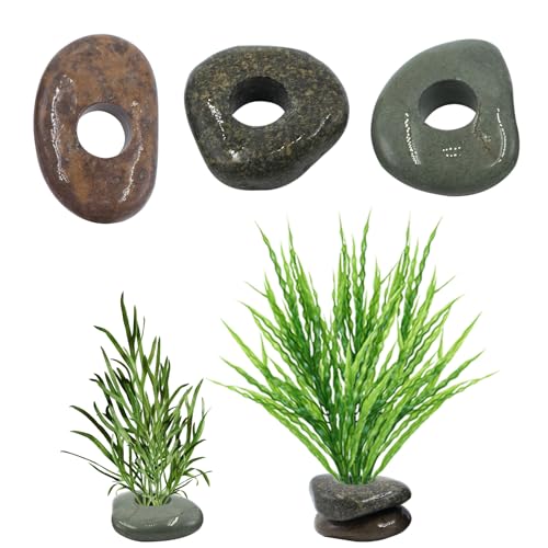 6 Pcs Natural River Stone Plant Weights for Fish Tank Pebble Aquatic Plants Fixed Ring Unique Anti-Floating Decorative River Rock Anchors for Aquarium Landscape Decoration (0.79 Hole Diameter)