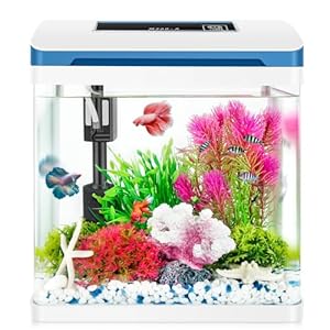 Small Fish Tank 2 Gallon Glass Aquarium Starter Kits, Desktop Betta Fish Tank Beta Fish Aquariums with Filter and Light for Betta Shrimp Guppy Jellyfish Goldfish Beta, Room Desktop Decor, Gifts