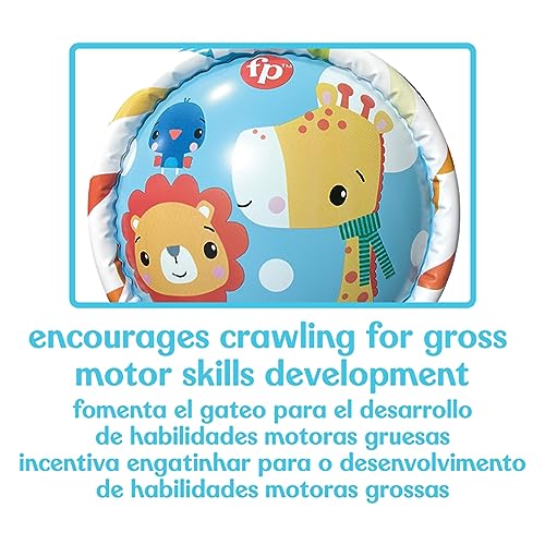 DQB DeQUBE Fisher Price-Baby Roller, aufblasbar, für Babys, Maße 48 x 44 x 25 cm (Deqube 920D00179)