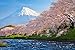 NINGLIU Puzzle in Legno da 6000 pezzisotto Il Monte Fuji Giochi di abilità per Tutta la Famiglia Puzzle a Colori