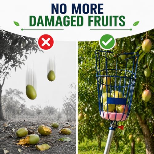 Image of Go Garden Fruit Picker Basket Big Size | Mango Plucker Heavy Duty Fruit Plucker | Apple, Lemon, Chikoo, Orange Mango Picker Tool | Easy & Safe Fruit Harvesting Basket | Garden Tool - Set of 1