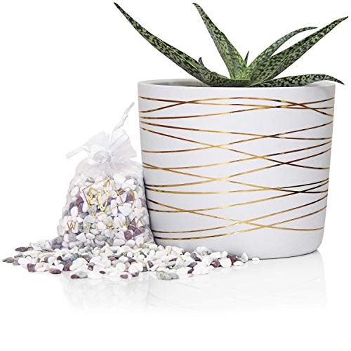 6 Inch Ceramic Plant Pot - Small White Planter with Gold Stripes