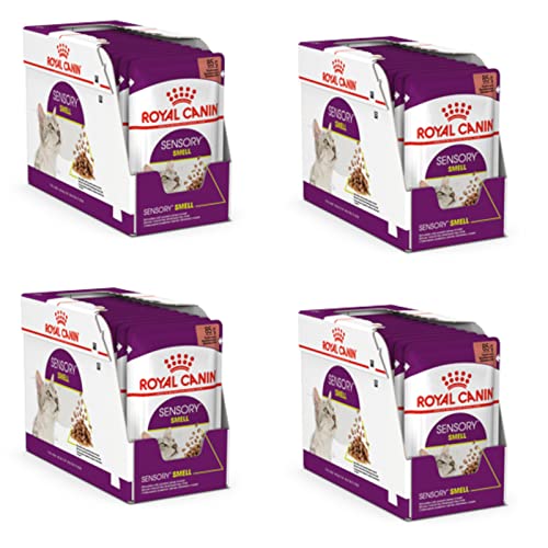 Royal Canin Sensory Smell | 4er Pack | 4 x 12 x 85 g | Nassfutter für ausgewachsene Katzen | Stückchen in Soße | Zur Anregung des Geruchssinns | Instinktiv bevorzugt