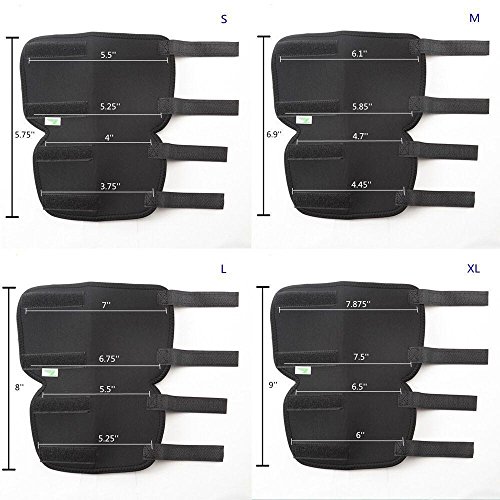 RockPet Gelenkbandage für das Hinterbein ihres Hundes (L)