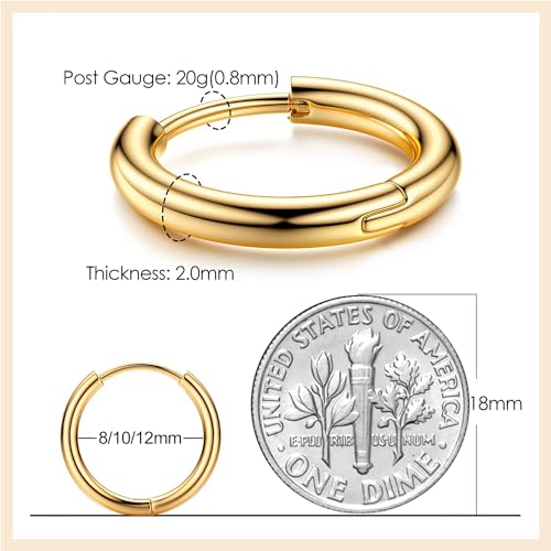 MILACOLATO G23 Solid Titanium Hoop Earrings Implant Grade Hypollergenic Small Huggie Hoop Earrings Hinged Sleeper Cartilage Earrings for Women Men Silver Black 14K Gold Plated 8mm 10mm 12mm3