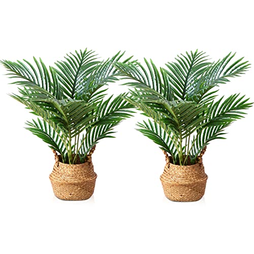 LOMANTO Fake Majesty Palm Plant 2Ft Artificial Plants for Home Decor Indoor Small Faux Trees in Pot...