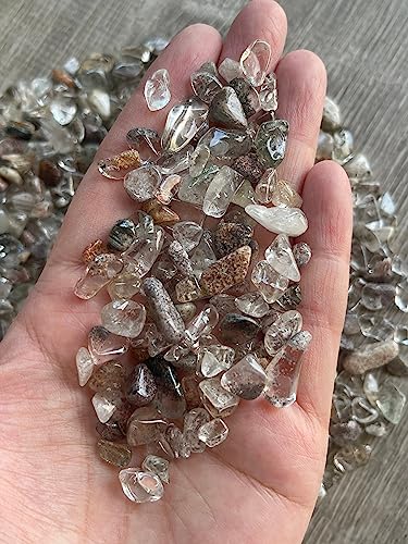 Image of GAF TREASURES 2 oz Lot Natural Semi Tumbled Gemstone Chips, Crushed Mini Crystals, Undrilled Crystal Chips (Rutilated Quartz Mixed)