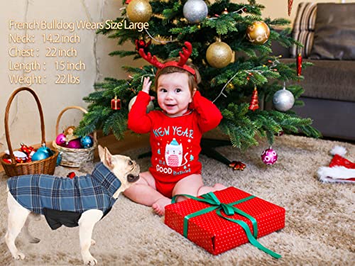 Caslfuca Dog Winter Coat, Winter Dog Extra Warm Coats Dog Fleece Jackets Dog Clothes, Windproof Waterproof Dog Cold Weather Coats For Small Medium Large Dogs And Puppy Apparel #TOP2