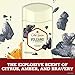 Old Spice Antiperspirant & Deodorant for Men, Invisible Solid, Volcano With Charcoal Scent, Inspired by Natural Elements, 2.6 Oz (Pack of 3)