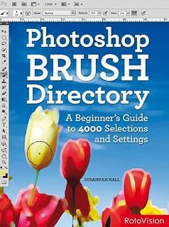 Photoshop Brush Directory: A Beginner's Guide to 4,000 Selections and Settings by Susannah Hall (2011-02-01)