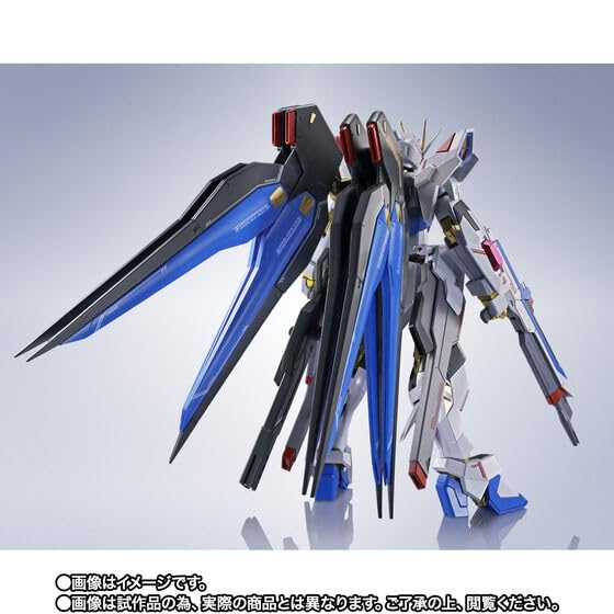 Amazon | METAL ROBOT魂 ＜SIDE MS＞ ストライクフリーダムガ