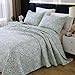 DURLENGEN Quilt Set California King Size 3Pcs,Bluish Grey Printed with Beige Leaves Pattern,Soft Microfiber Lightweight Bedspread for All Season Layering(112x104,Beige Botanical)