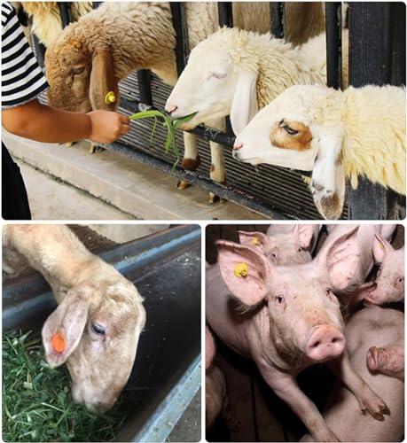 Alicates para Crotales, Herramienta inalámbrica para marcar Ganado Vacuno, ovino, porcino y caprino: Reduce el Dolor y Ahorra Tiempo.
