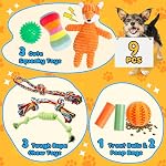 Puppy Toys, 9 Pack Puppy Chew Toys for Teething, Small Dog Toys with Cute Squeak Dog Toys, Ball and More Rope Dog Chew Toys for Small Dogs
