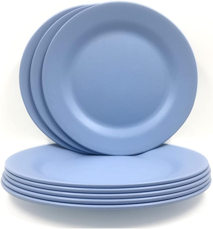 BangBoom 8 Pack 9.8 Inch Dinner Plate Set, Large Pasta Plates, Unbreakable Steak Dishes, Lightweight Salad Dinnerware, Reusable Dessert Tableware (8Pcs 25cm Blue)