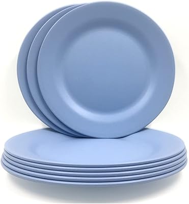 Amazon.com | RTIC Anywhere Stainless Steel Plates Set Of Two, Stackable ...