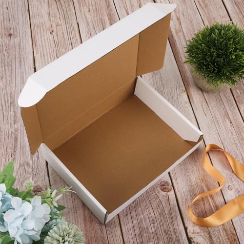 Image of RLAVBL 9x6.5x2 Inches Shipping Boxes Set of 30, White Small Corrugated Cardboard Box, Mailer Boxes for Packing Small Business