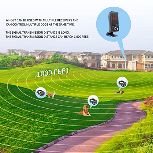 Wireless Dog Fence system components