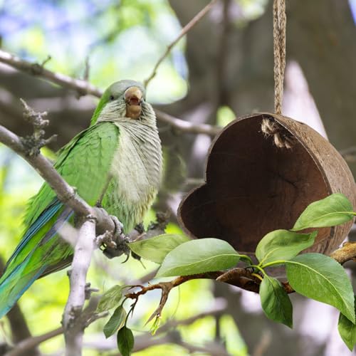 Image of Natural Coconut Bird Nest,Hanging Coco Birds House Habitats Decor,Parrots Coconut Shell Nest Hideout with Grinding Beak Toys,Bird Cage Accessories Coconut for Canary Lovebird Cockatiel