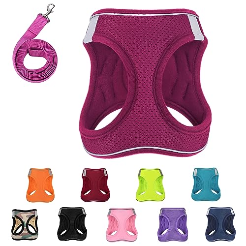 Dog-Harness-with-Leash-SetNo-Pull-Pet-Harness-with-2-Leash-Clips-Adjustable-Soft-Padded-Dog-Vest-for-Extra-SmallSmall-Medium-Large-Dogs-and-CatsRedMedium - Cucciolini Doodles   Dog-Harness-with-Leash-SetNo-Pull-Pet-Harness-with-2-Leash-Clips-Adjustable-Soft-Padded-Dog-Vest-for-Extra-SmallSmall-Medium-Large-Dogs-and-CatsRedMedium