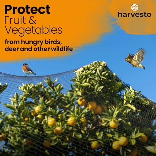 Harvesto Heavy Duty Bird Netting for Chicken Coops & Runs | Tree & Garden Netting Mesh 1-1/2" | Keep Hawks, Birds & Predators Away | Bird Netting for Blueberry Bushes, Vegetables & Fruit (50' x 150') by Harvesto - Image 5