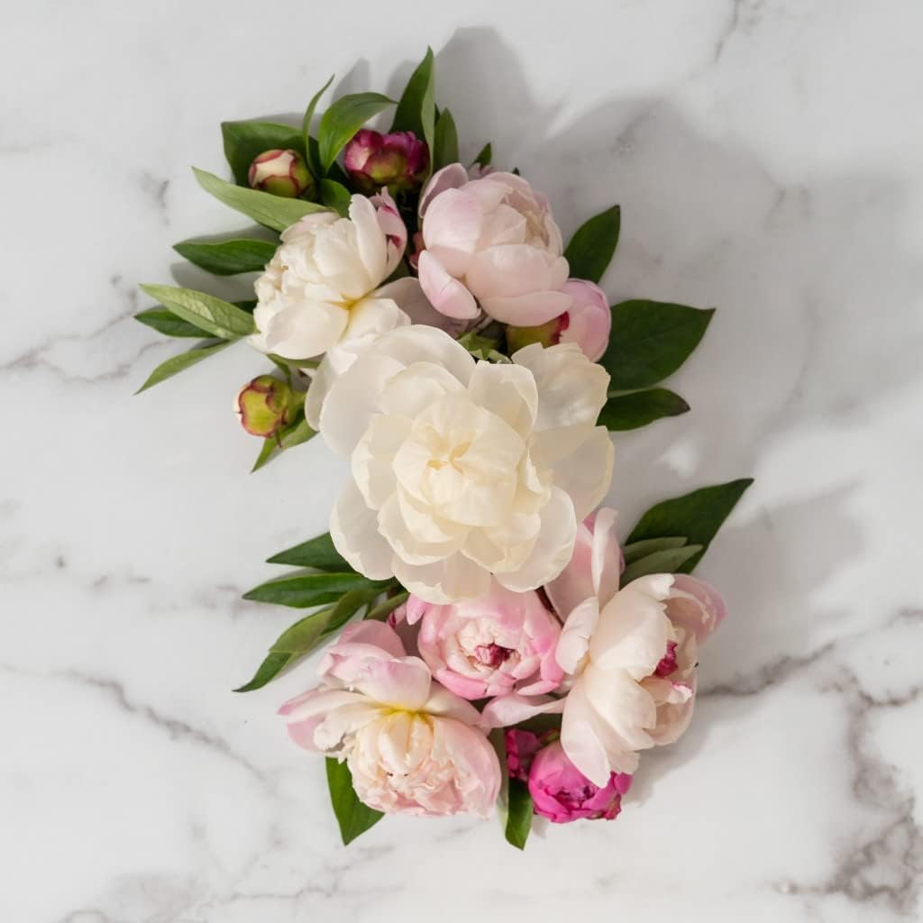 GREENLEAF GIFTS Unique Blooming Highly Fragranced Flower Diffuser Air Freshener-Peony Bloom