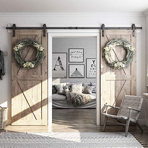Smartstandard 10Ft Heavy Duty Double Door Sliding Barn Door Hardware Kit - Smoothly And Quietly -Easy To Install -Includes Step-By-Step Installation, Fit 30" Wide Door Panel(J Shape Hanger) #TOP2
