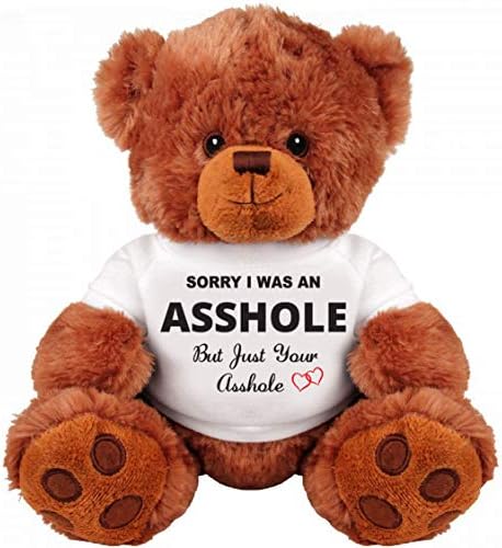Sorry and Forgive Me Gift: Funny Teddy Bear Gift Couple: Medium Teddy Bear Stuffed Cute Animal
