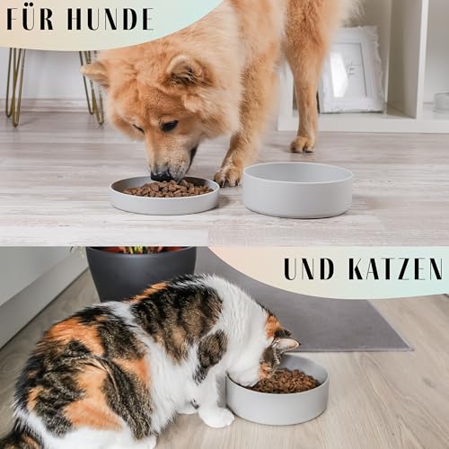 ne&no® Silikon Hundenapf 1200 ml mit Deckel für kleine und mittelgroße Hunde | im Kühlschrank luftdicht verschlossen | Futternapf Hund rutschfest | Fressnapf Hund Set