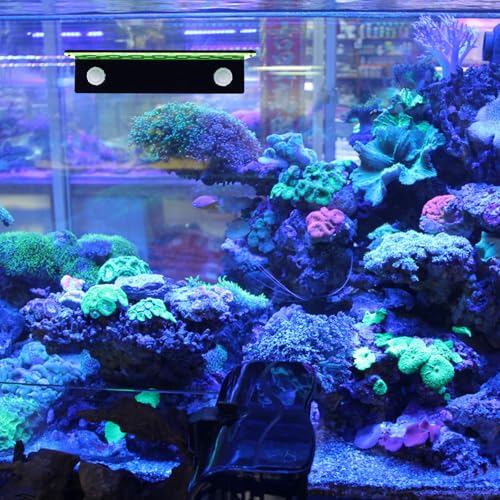 Support pour boutures de corail d'aquarium en acrylique stable 23 trous - 7