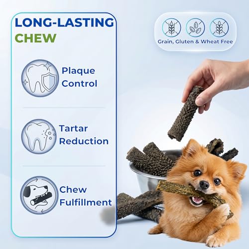 Image of Buffalo Tripe Dog Treats 100g - Dry Green Dehydrated Chews, High Protein, Rawhide Free, Omega 3 & 6 for Healthy Skin & Coat, Natural Chew for Small, Medium & Large Dogs