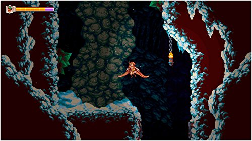 Owlboy Edition Limitée jeu Nintendo Switch physique avec bonus de collection - 2